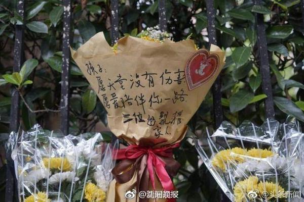 段冉观看约基奇中国行！后者与粉丝互动投篮 表示一切太棒了